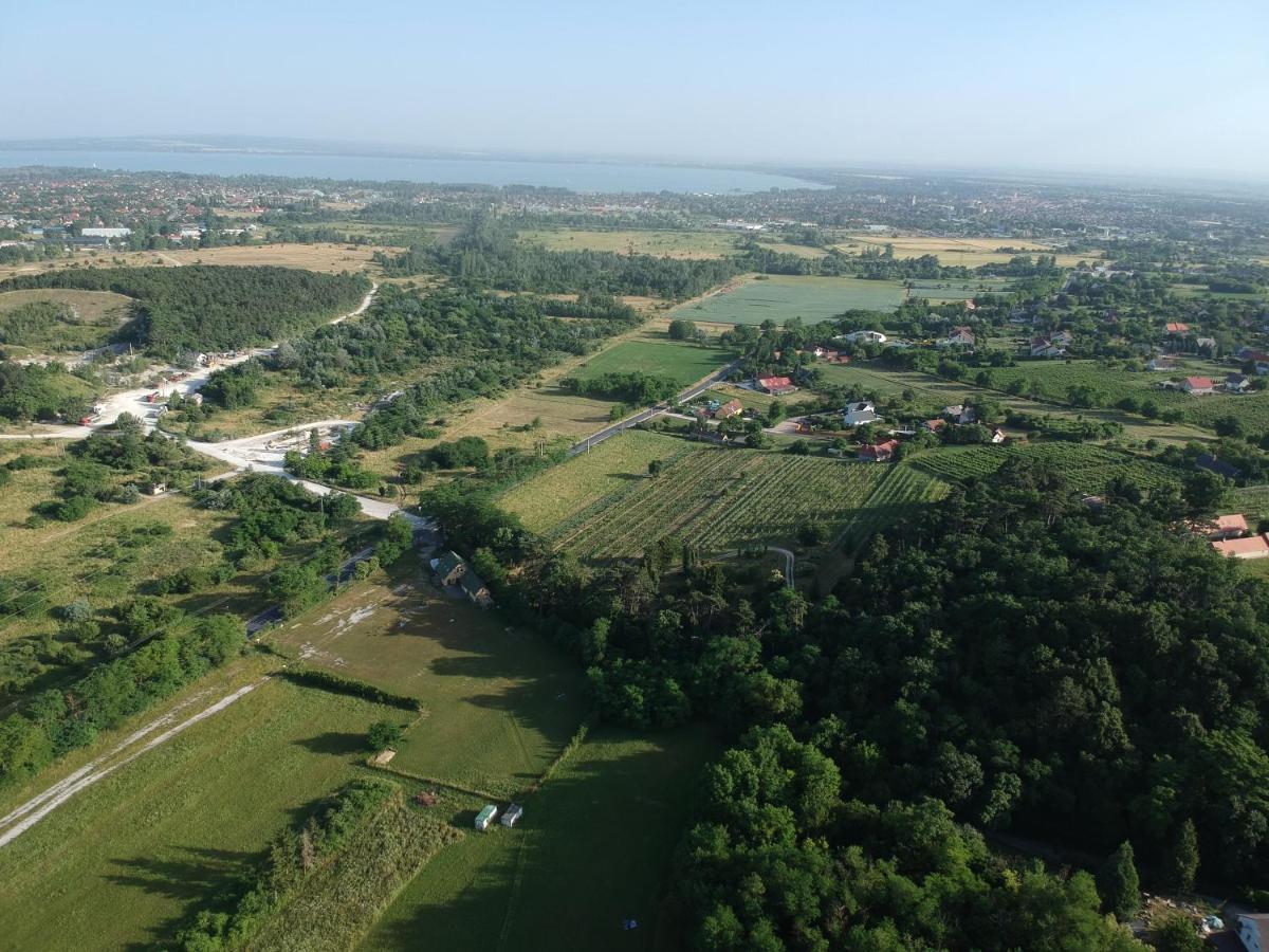Pilikan - Park, Agroturism, Vineyard & Farm * Cserszegtomaj