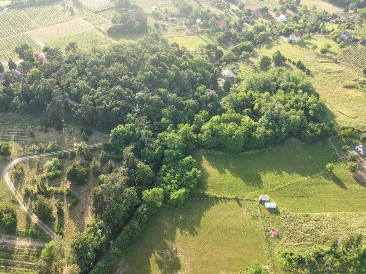 Pilikan - Park, Agroturism, Vineyard & Farm Cserszegtomaj