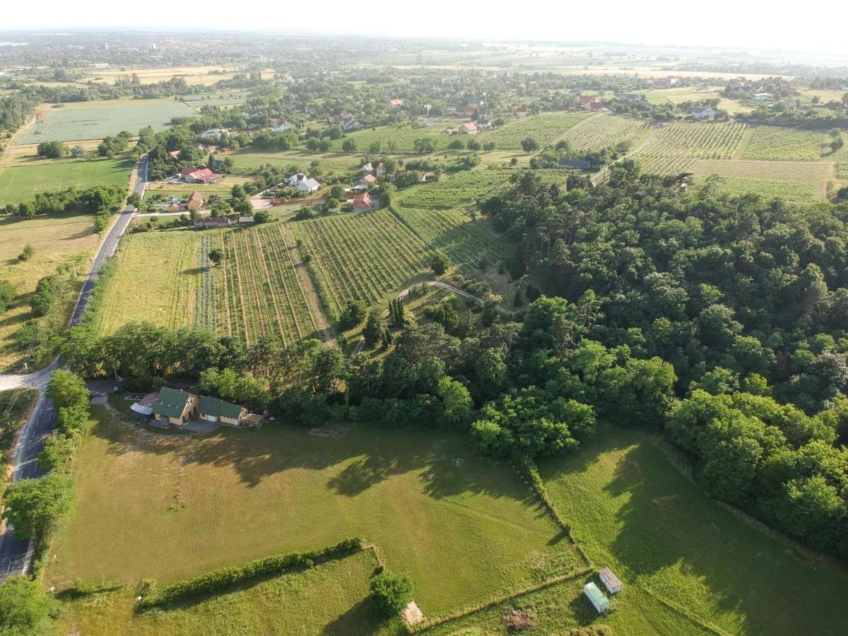 Pilikan - Park, Agroturism, Vineyard & Farm * Cserszegtomaj