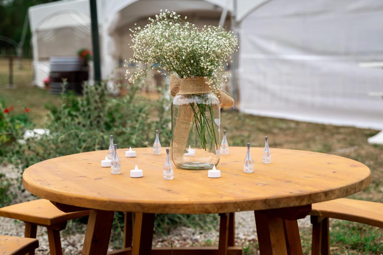 Pilikan - Park, Agroturism, Vineyard & Farm Cserszegtomaj